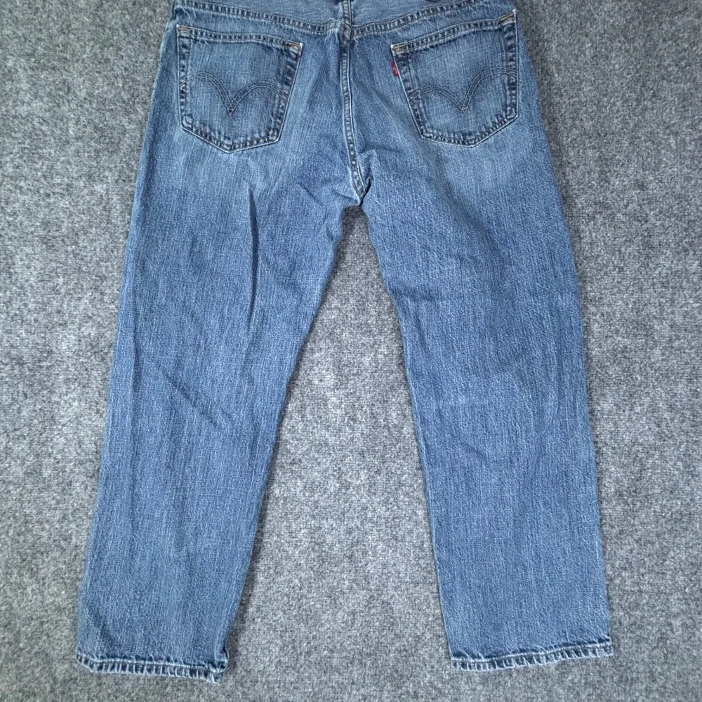 Levis levis 559